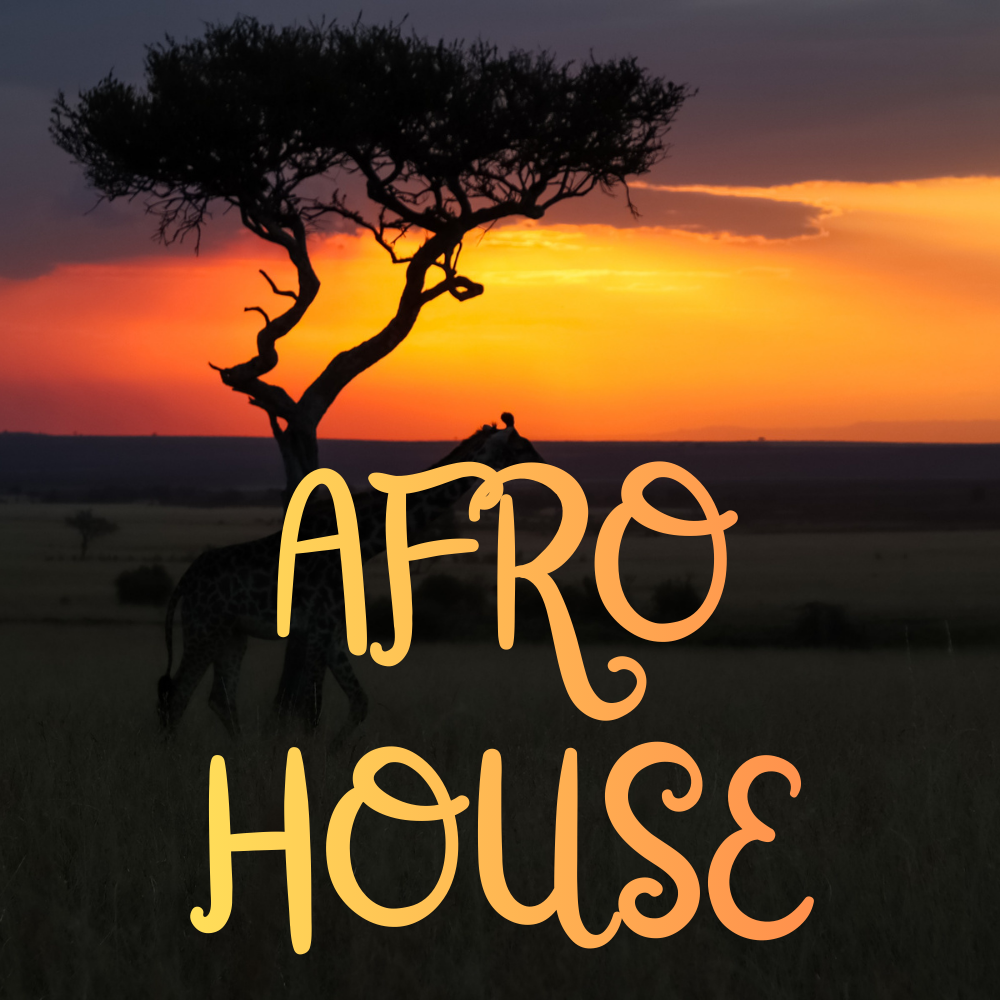AFRO HOUSE | BEATS PARA BAILAR