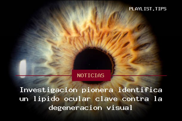 Investigación pionera identifica un lípido ocular clave contra la degeneración visual