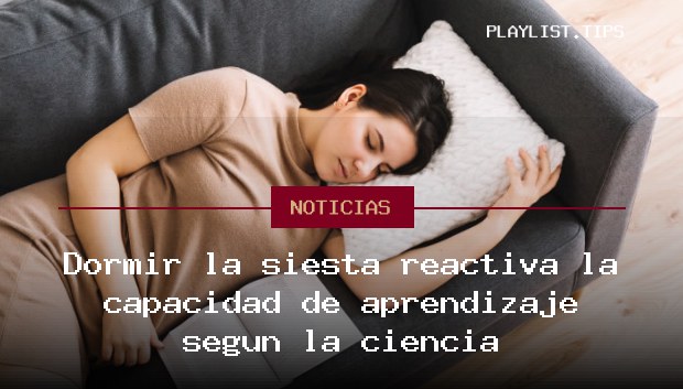 Dormir la siesta reactiva la capacidad de aprendizaje según la ciencia
