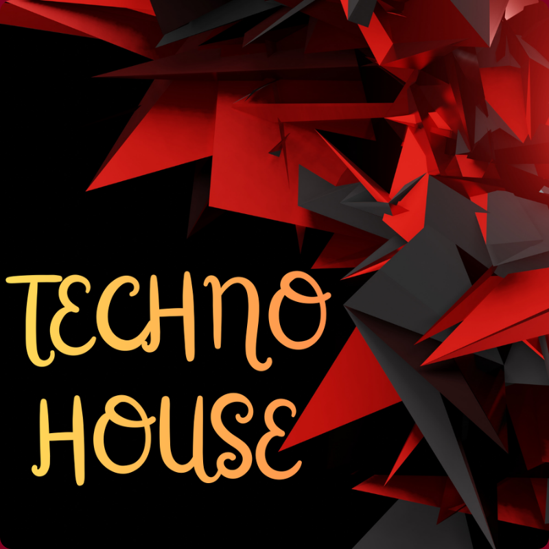 Techno House